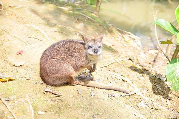 tn_DSC_0321 tn_DSC_0321