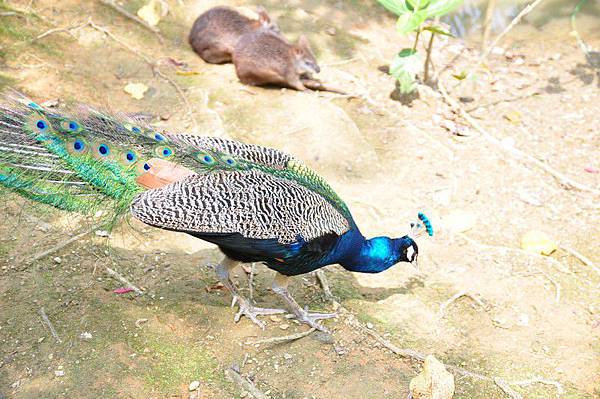 tn_DSC_0316 tn_DSC_0316