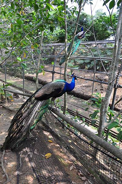 tn_DSC_0327 tn_DSC_0327