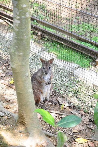 tn_DSC_0329 tn_DSC_0329