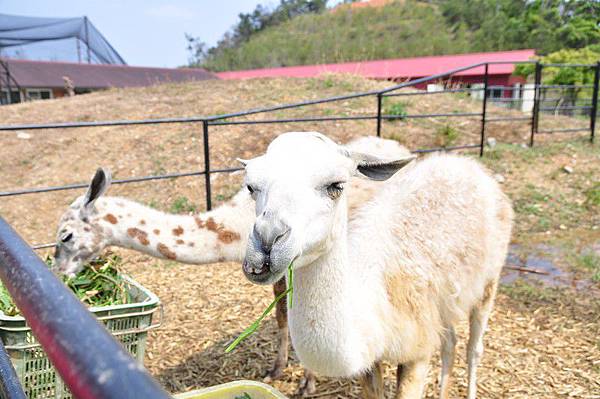 tn_DSC_0335 tn_DSC_0335