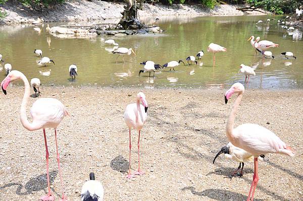 tn_DSC_0341 tn_DSC_0341