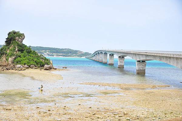 tn_DSC_0422 tn_DSC_0422