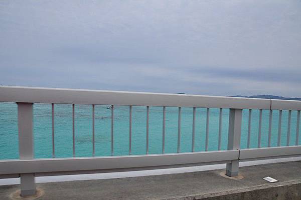 tn_DSC_0469 tn_DSC_0469