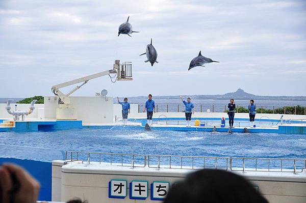 tn_DSC_0487 tn_DSC_0487