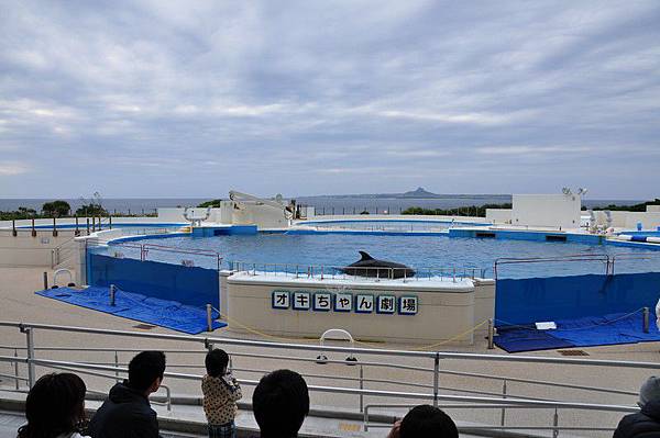 tn_DSC_0483 tn_DSC_0483