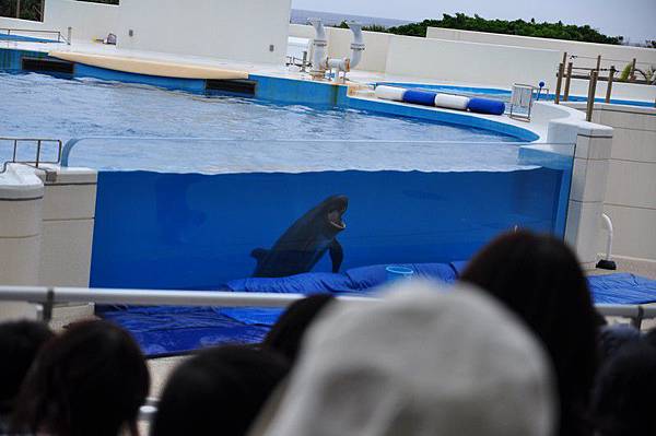 tn_DSC_0493 tn_DSC_0493