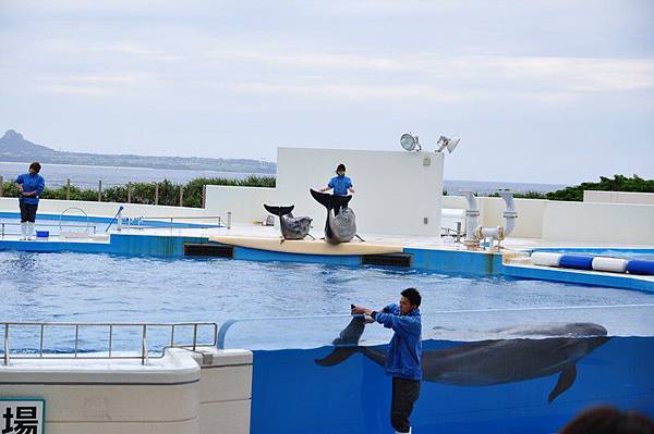 tn_DSC_0495 tn_DSC_0495