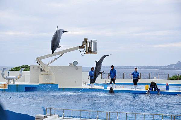 tn_DSC_0497 tn_DSC_0497