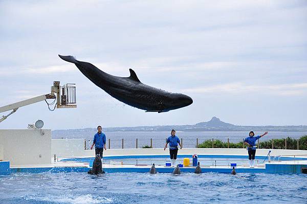 tn_DSC_0505 tn_DSC_0505