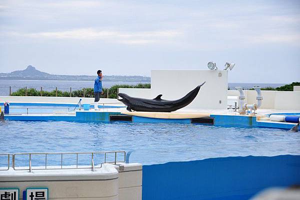 tn_DSC_0506 tn_DSC_0506