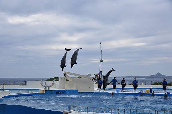 tn_DSC_0510 tn_DSC_0510