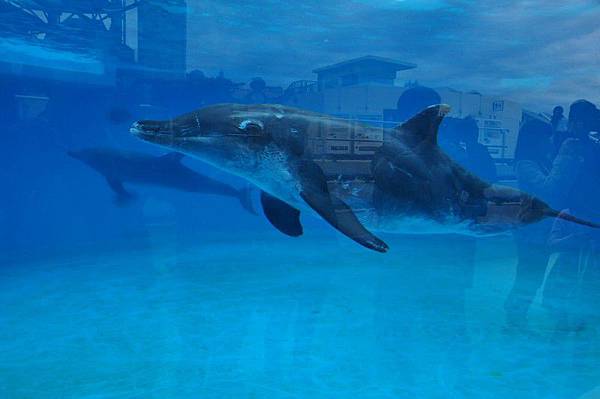 tn_DSC_0527 tn_DSC_0527