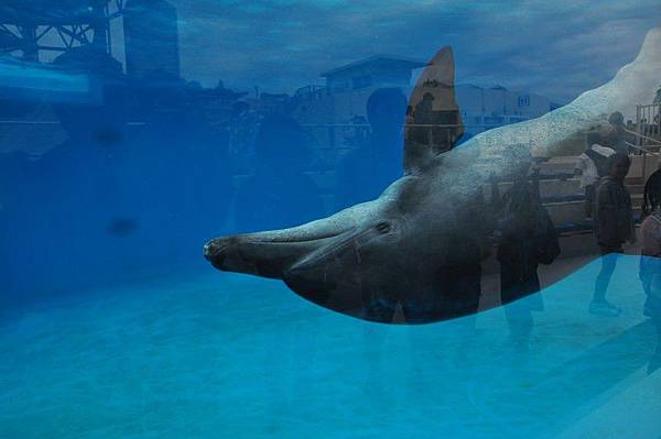 tn_DSC_0530 tn_DSC_0530