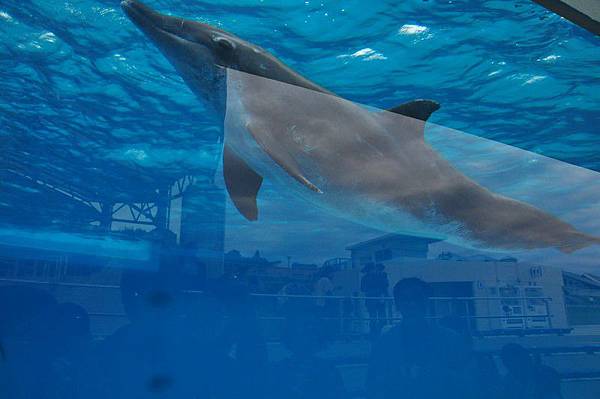 tn_DSC_0529 tn_DSC_0529