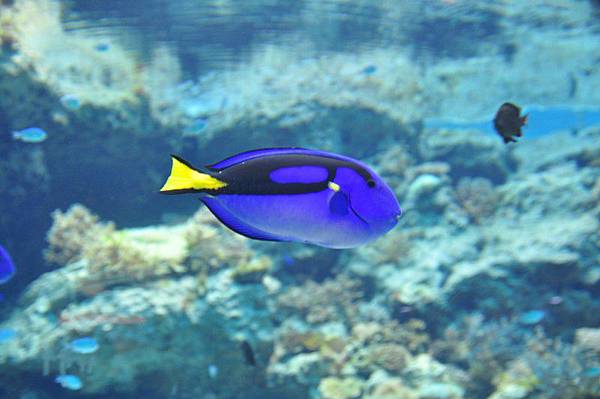 tn_DSC_0552 tn_DSC_0552