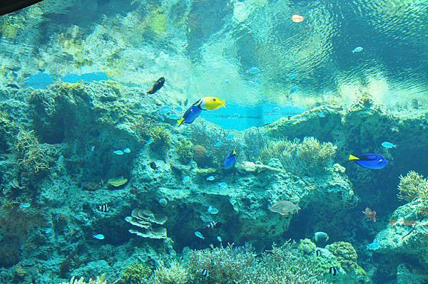 tn_DSC_0549 tn_DSC_0549