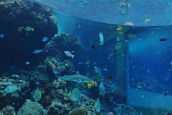 tn_DSC_0563 tn_DSC_0563