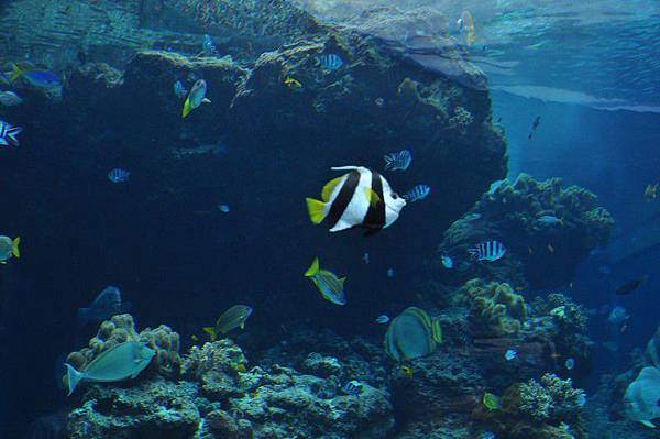 tn_DSC_0566 tn_DSC_0566