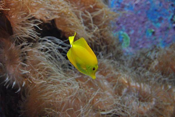 tn_DSC_0576 tn_DSC_0576