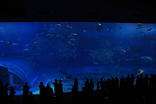 tn_DSC_0577 tn_DSC_0577