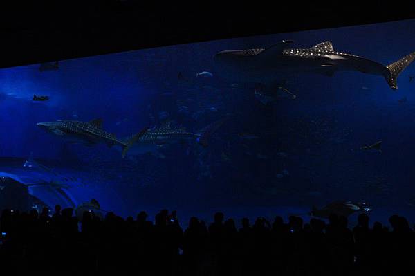 tn_DSC_0580 tn_DSC_0580