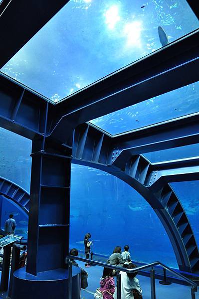 tn_DSC_0588 tn_DSC_0588