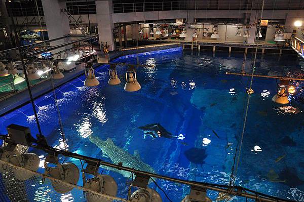 tn_DSC_0598 tn_DSC_0598