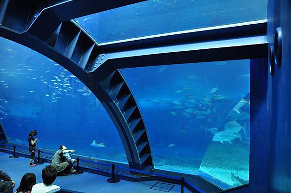 tn_DSC_0590 tn_DSC_0590