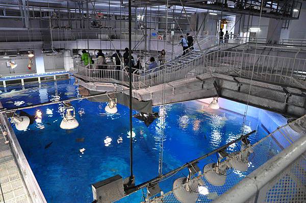 tn_DSC_0605 tn_DSC_0605