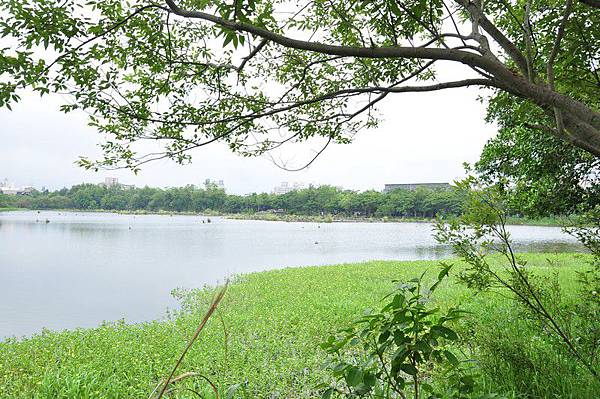 tn_DSC_1621 tn_DSC_1621