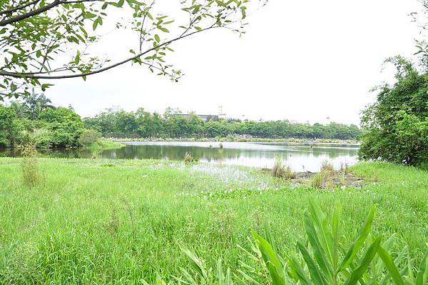 tn_DSC_1628 tn_DSC_1628