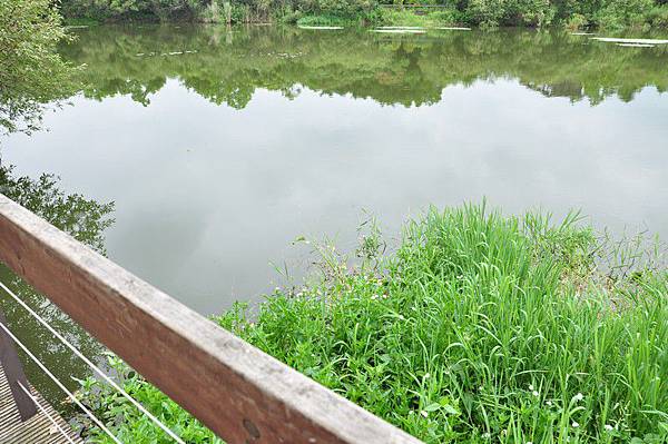 tn_DSC_1635 tn_DSC_1635