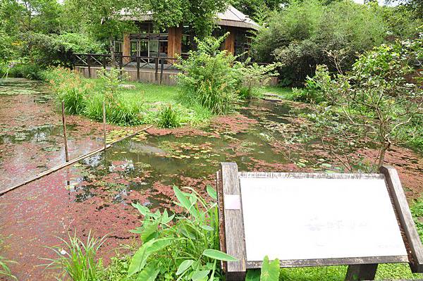 tn_DSC_1652 tn_DSC_1652