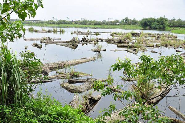 tn_DSC_1658 tn_DSC_1658