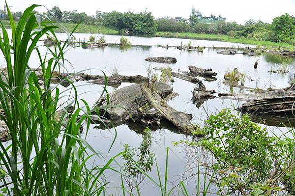 tn_DSC_1664 tn_DSC_1664