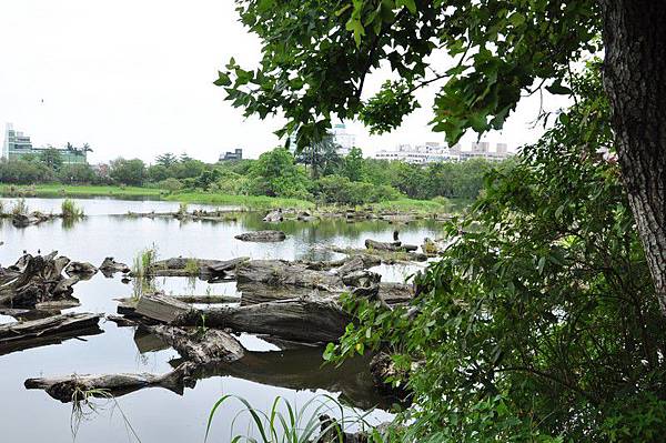 tn_DSC_1666 tn_DSC_1666