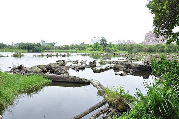 tn_DSC_1670 tn_DSC_1670