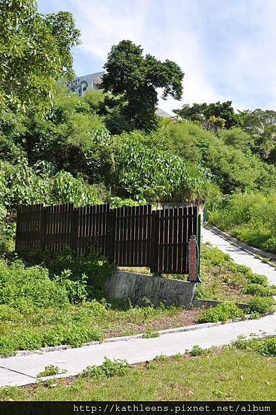 tn_DSC_0133.JPG tn_DSC_0133.JPG