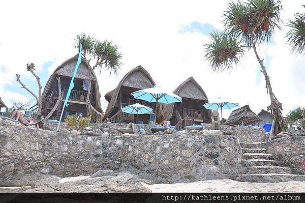 tn_DSC_0261.JPG tn_DSC_0261.JPG