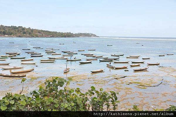 tn_DSC_0266.JPG tn_DSC_0266.JPG