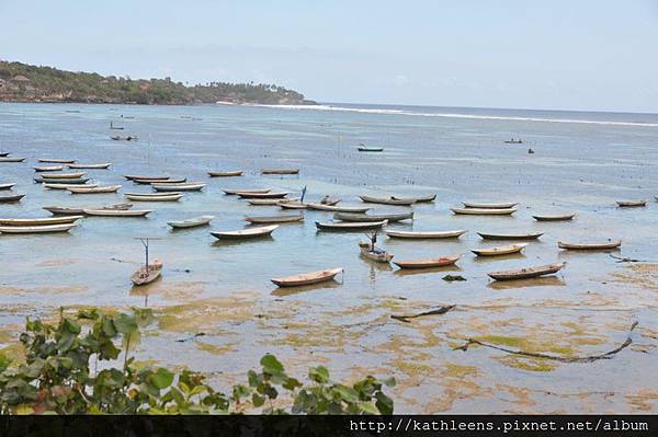 tn_DSC_0270.JPG tn_DSC_0270.JPG