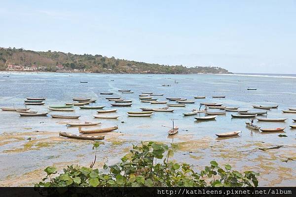 tn_DSC_0268.JPG tn_DSC_0268.JPG