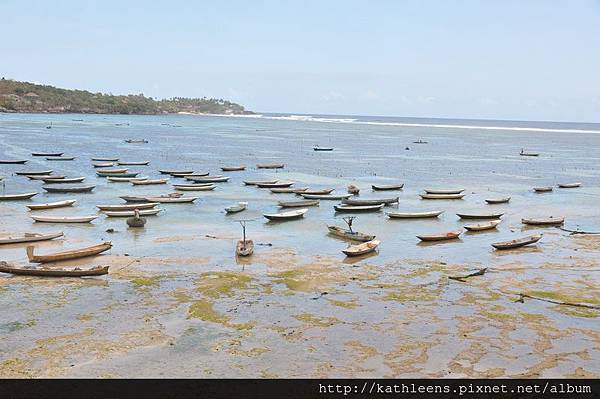 tn_DSC_0272.JPG tn_DSC_0272.JPG