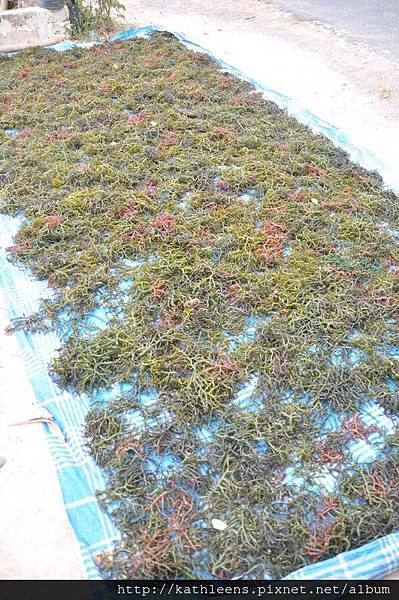 tn_DSC_0274.JPG tn_DSC_0274.JPG