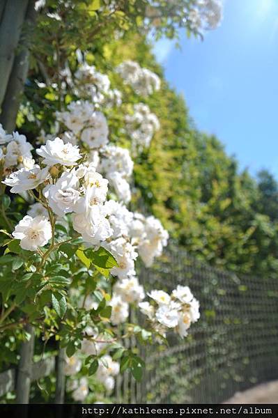 tn_DSC_0886.JPG tn_DSC_0886.JPG