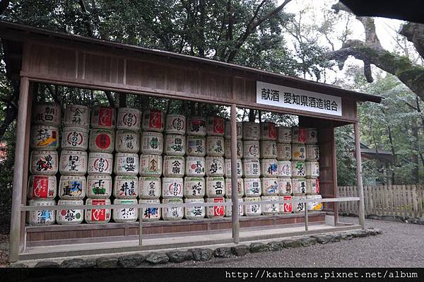 tn_DSC_0022.JPG tn_DSC_0022.JPG