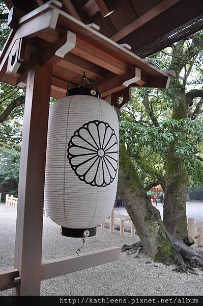 tn_DSC_0038.JPG tn_DSC_0038.JPG