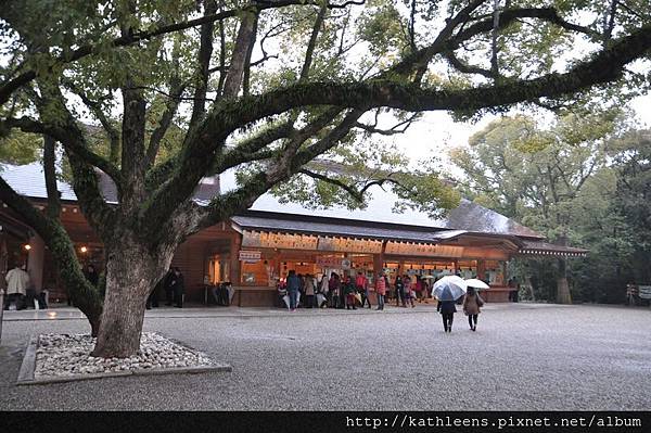 tn_DSC_0042.JPG tn_DSC_0042.JPG