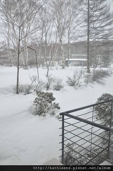 tn_DSC_0109.JPG tn_DSC_0109.JPG